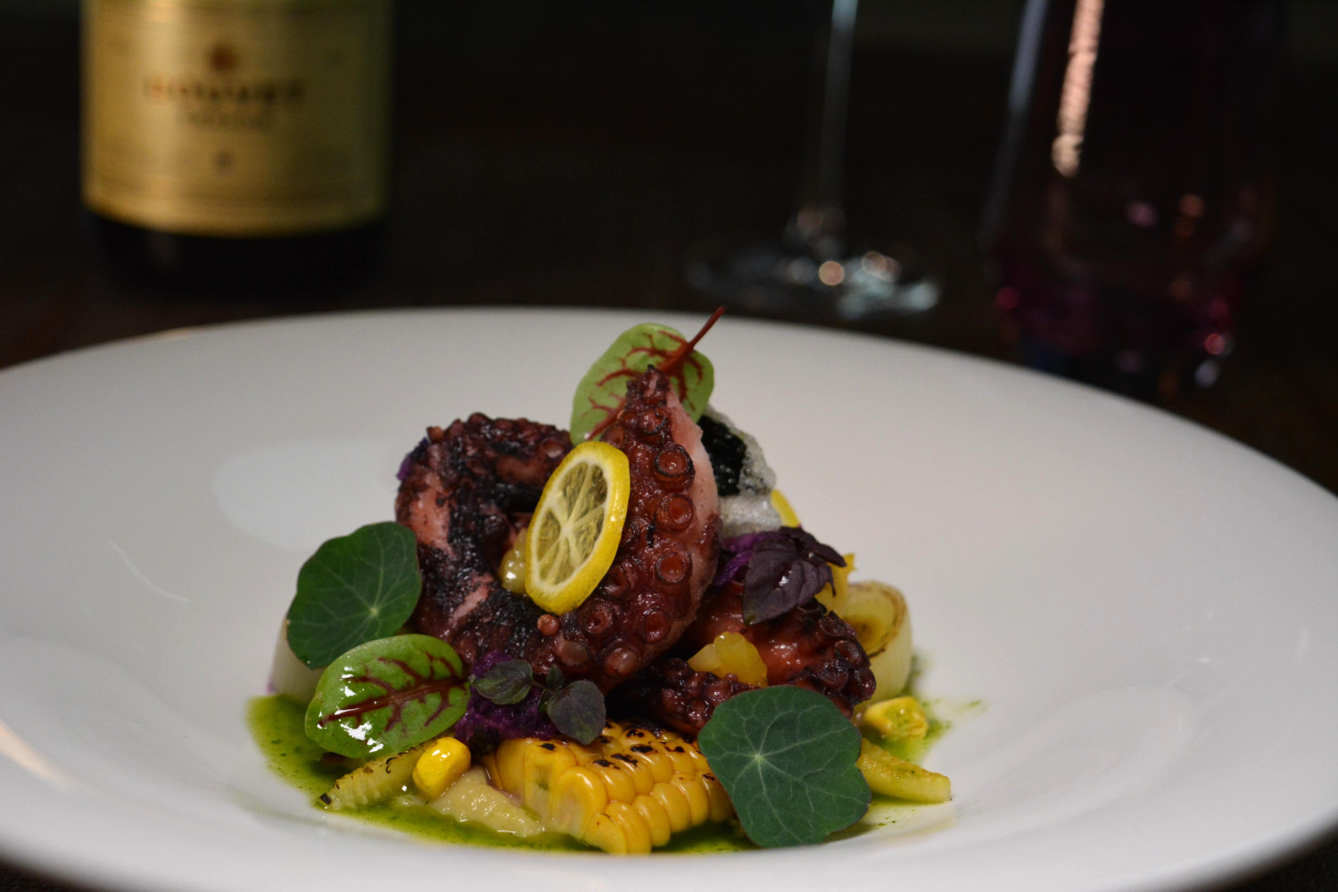 Pulpo entfernt Pulpo entfernt