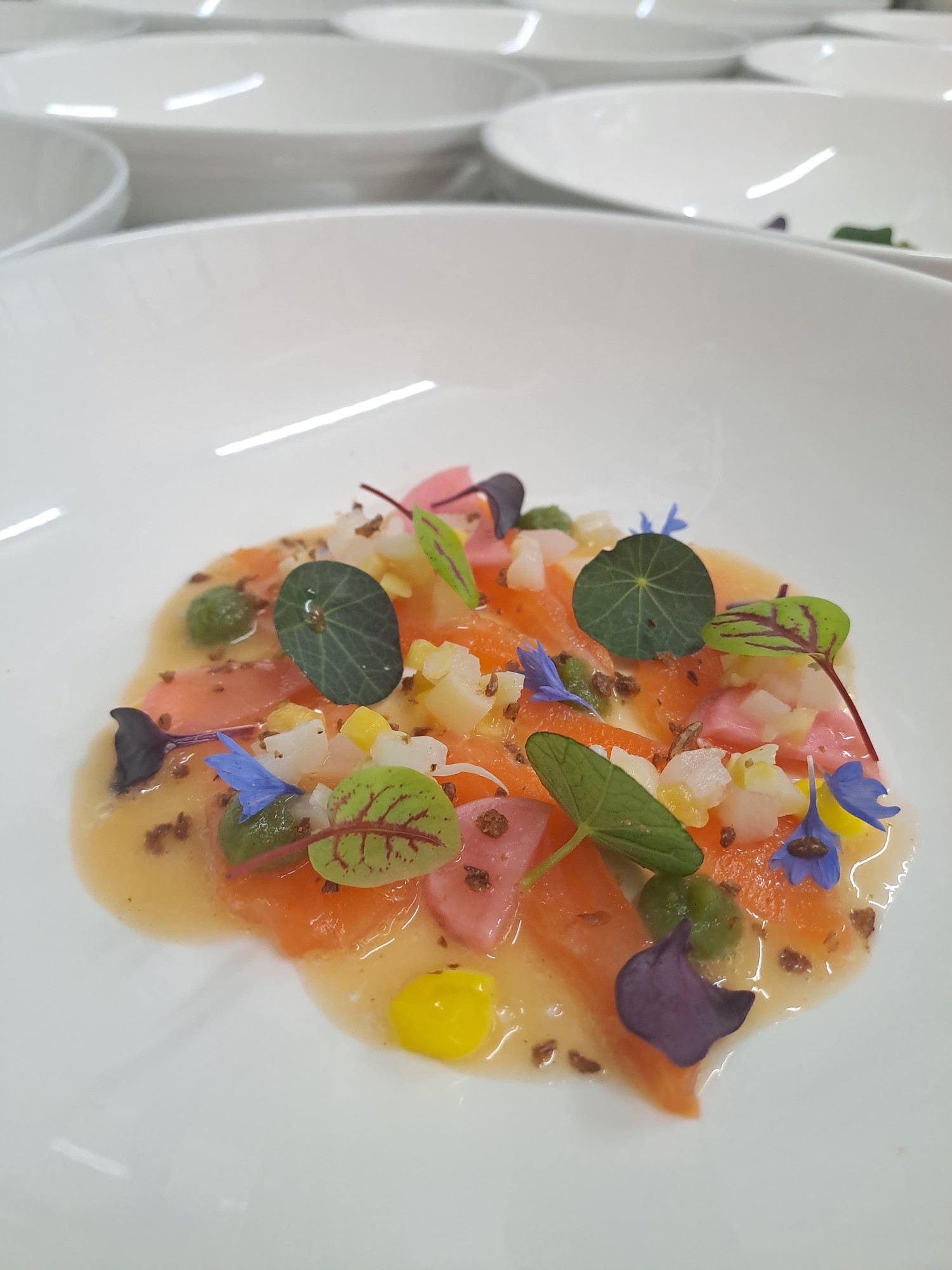 Ceviche Ceviche