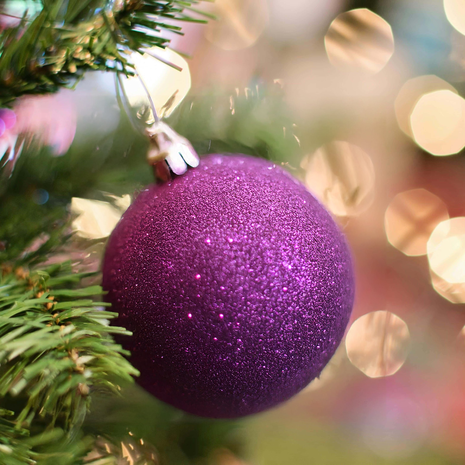 pexels-pixabay-237228-ai_edit-opti pexels-pixabay-237228-ai_edit-opti